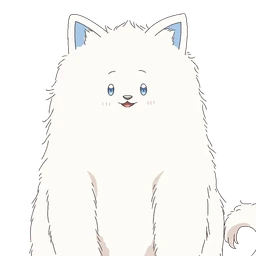 小白