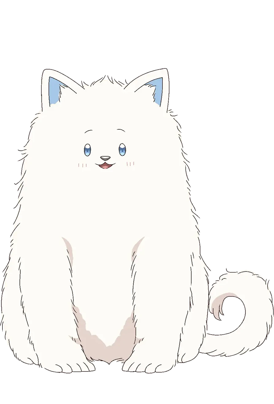 小白